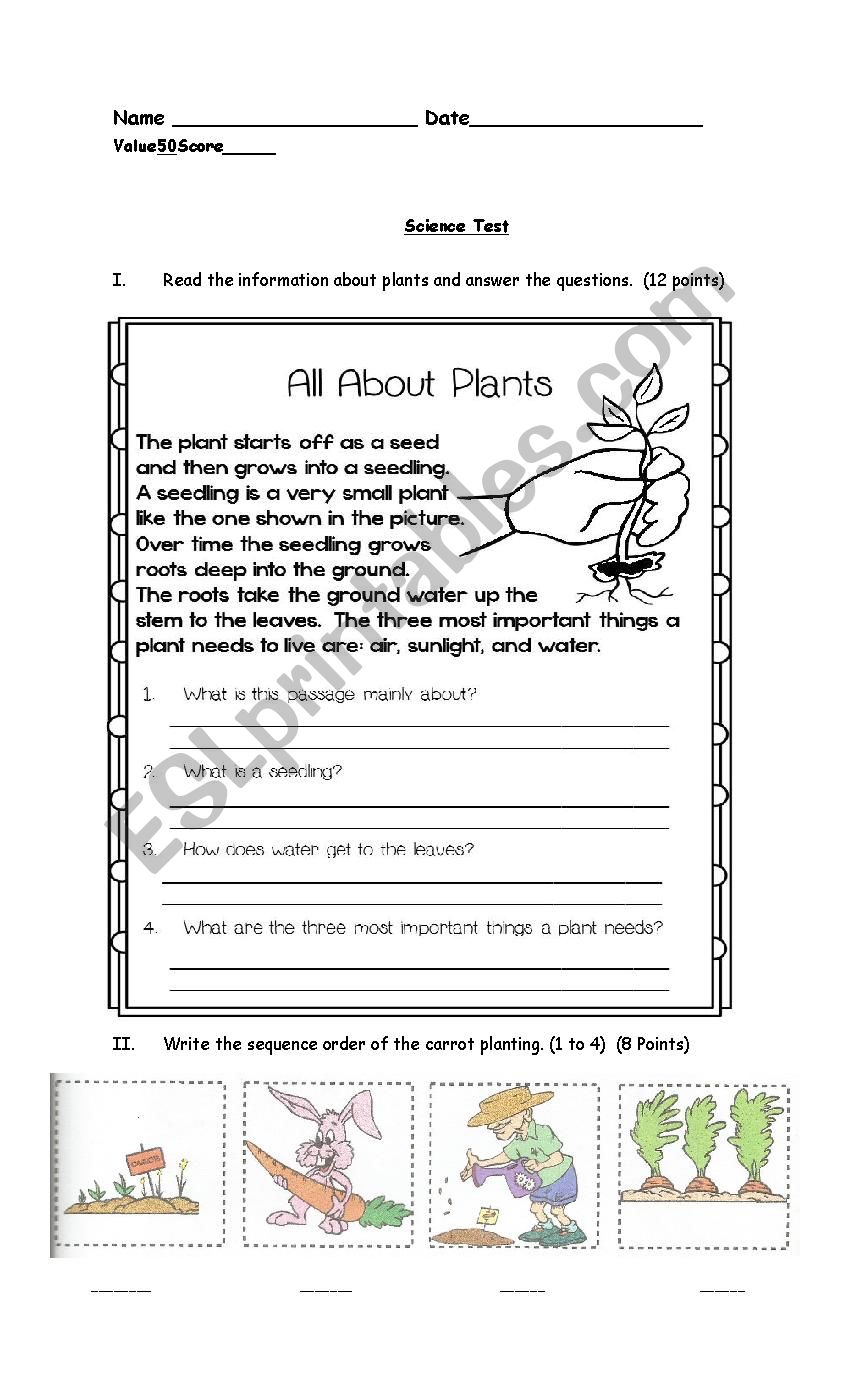 Science Test The Plants worksheet