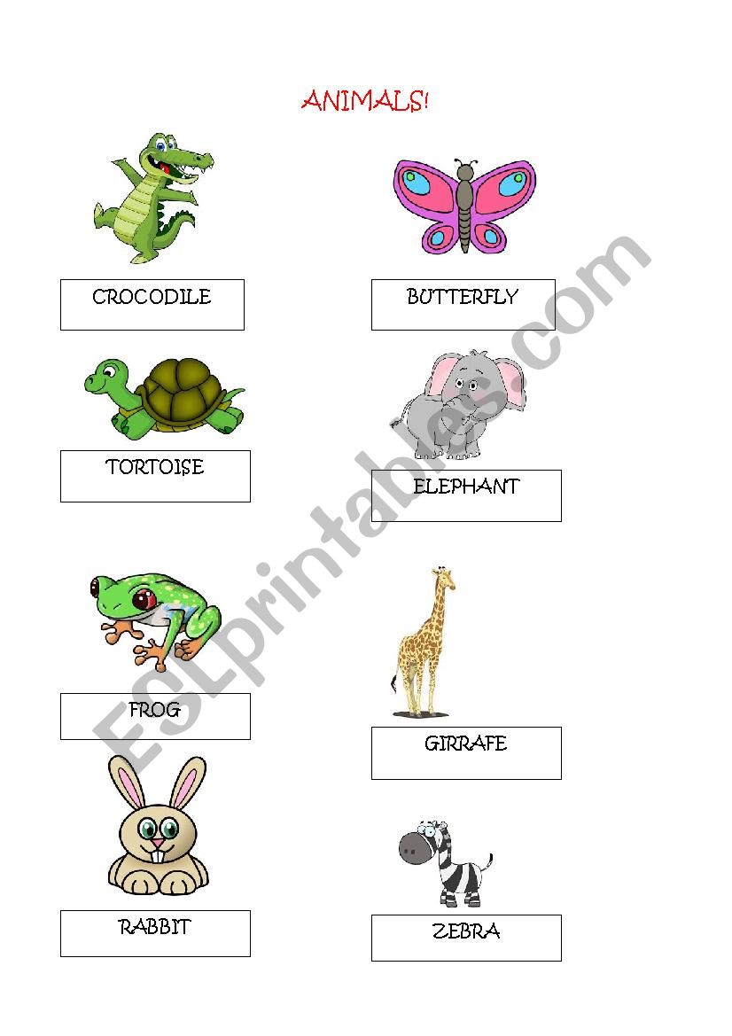 animals worksheet