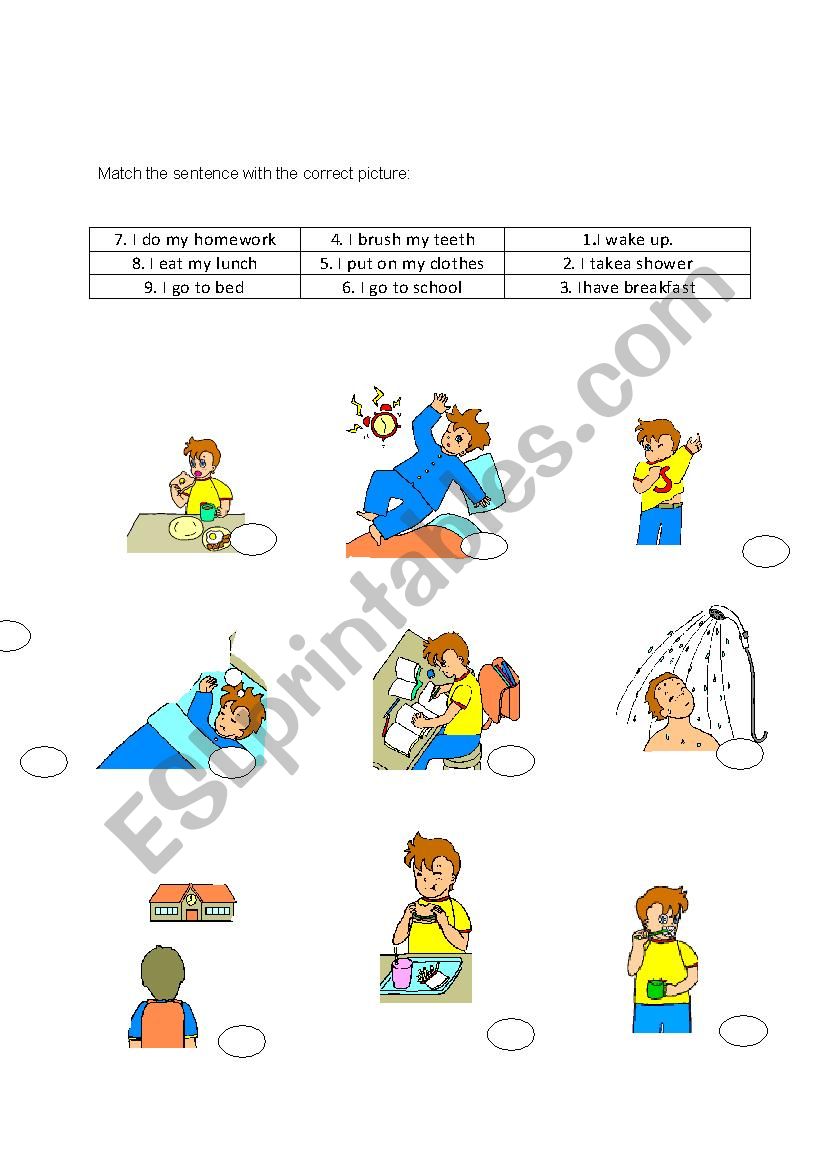 daily routines worksheet