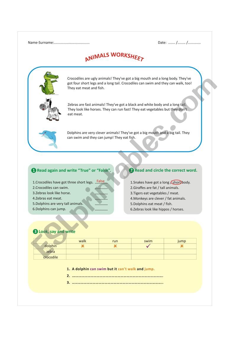 Animals worksheet worksheet