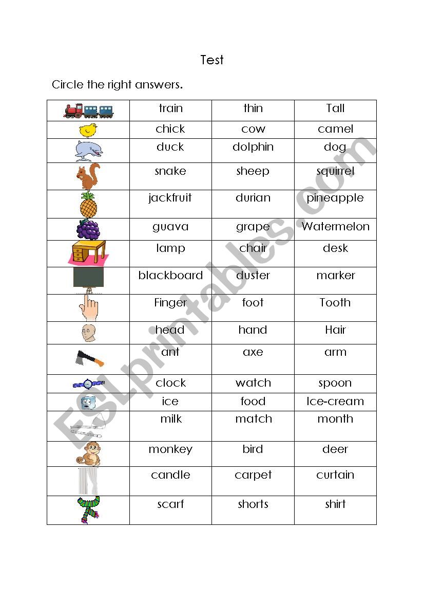 basic-vocabulary-test-esl-worksheet-by-nidagift