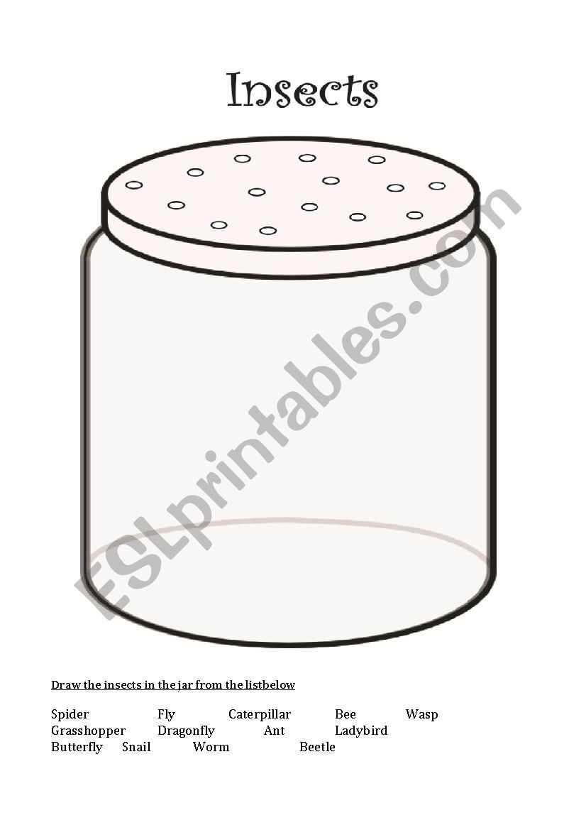 Insects worksheet