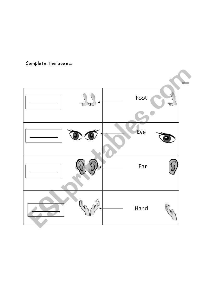 body parts worksheet