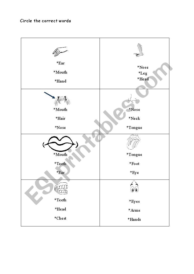 body parts worksheet