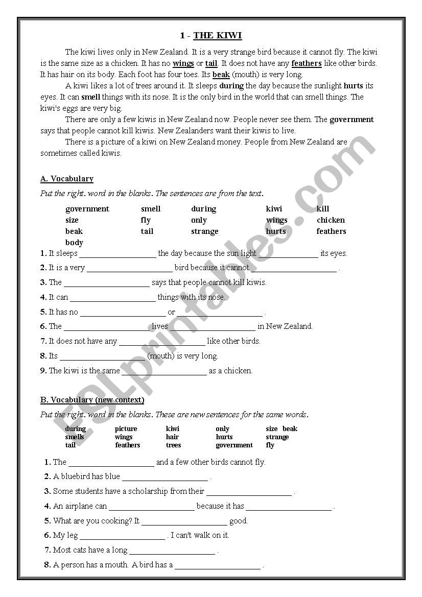 easy reading activity for elementary