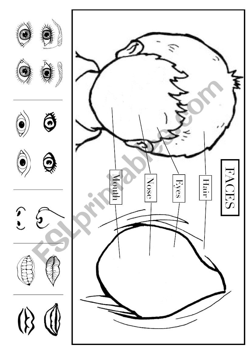 Faces worksheet