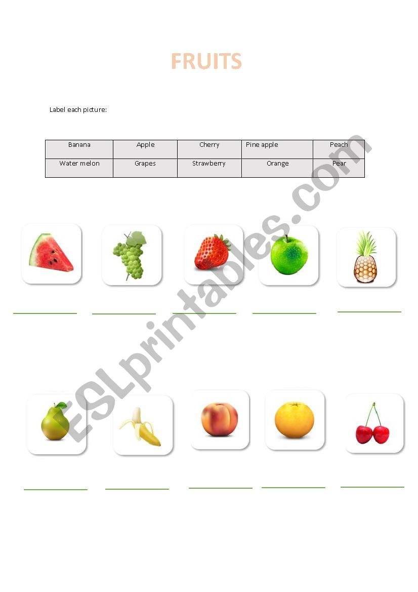 food worksheet