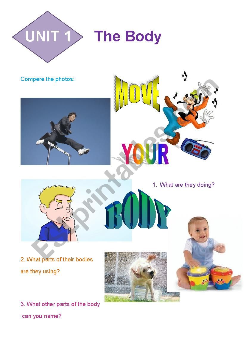  the body worksheet