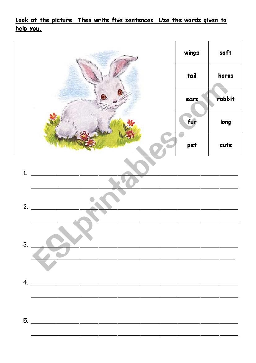 My Pet - Writing worksheet