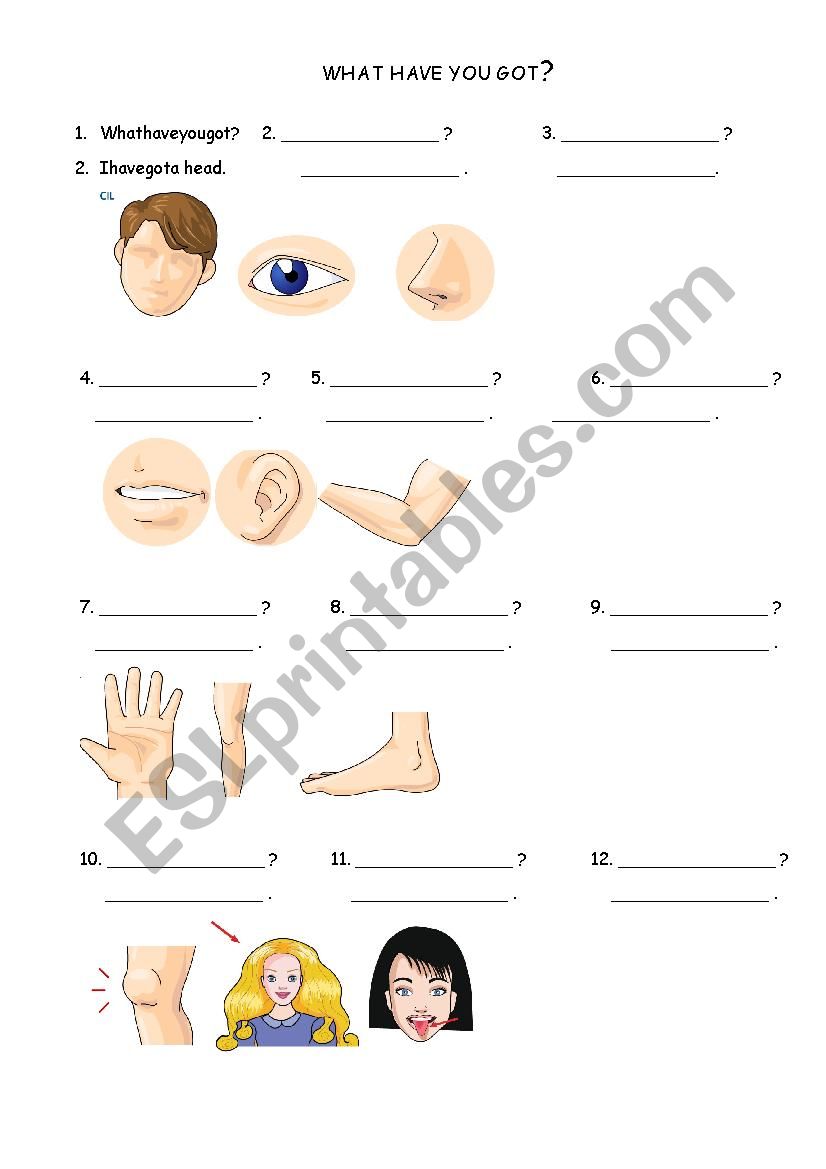 HAVE GOT & HAS GOT worksheet