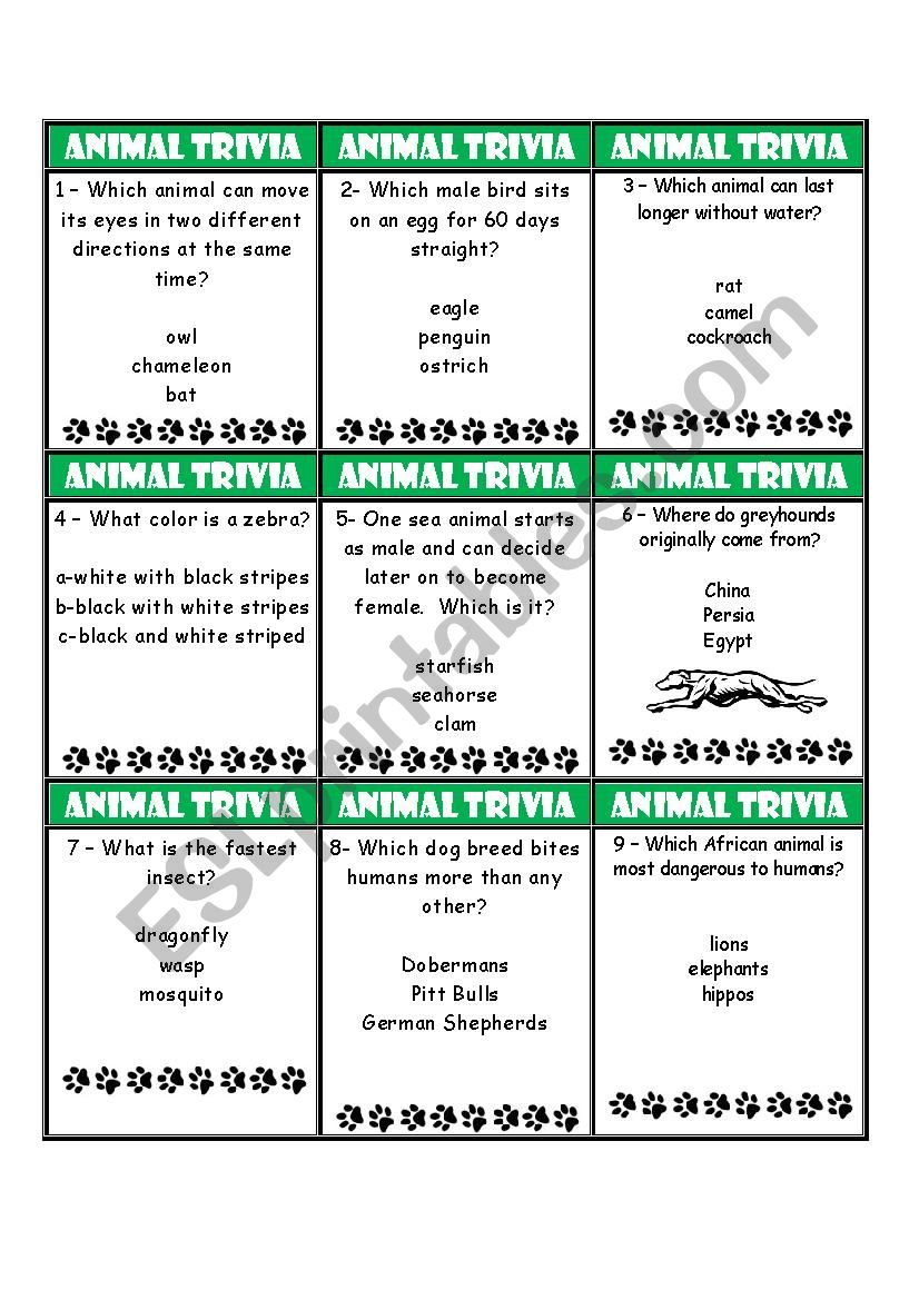 Animal Trivia Game worksheet