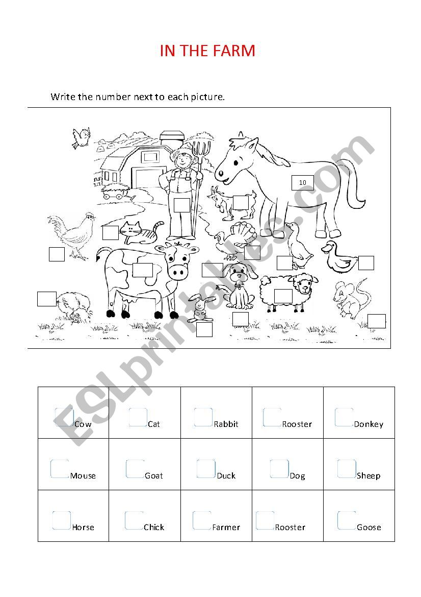 In the farm  worksheet