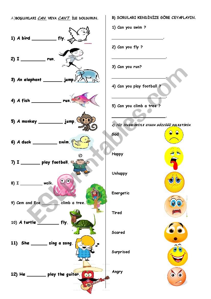 can cannot worksheet