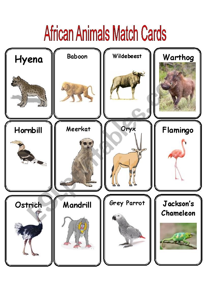 African Animal Match Cards - ESL worksheet by EstherLee76