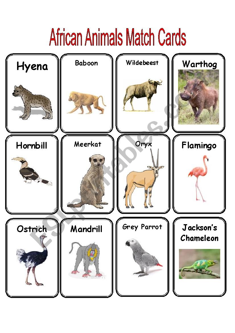 African Animal Match Cards worksheet