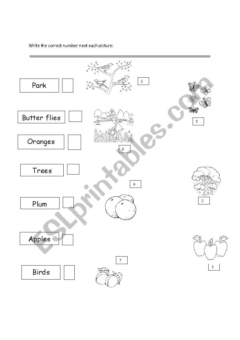 in the park  worksheet