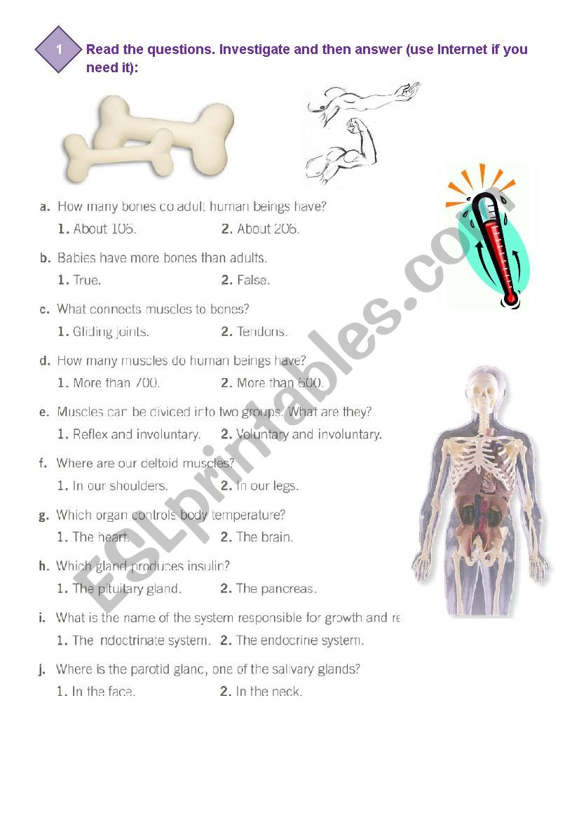 Body worksheet