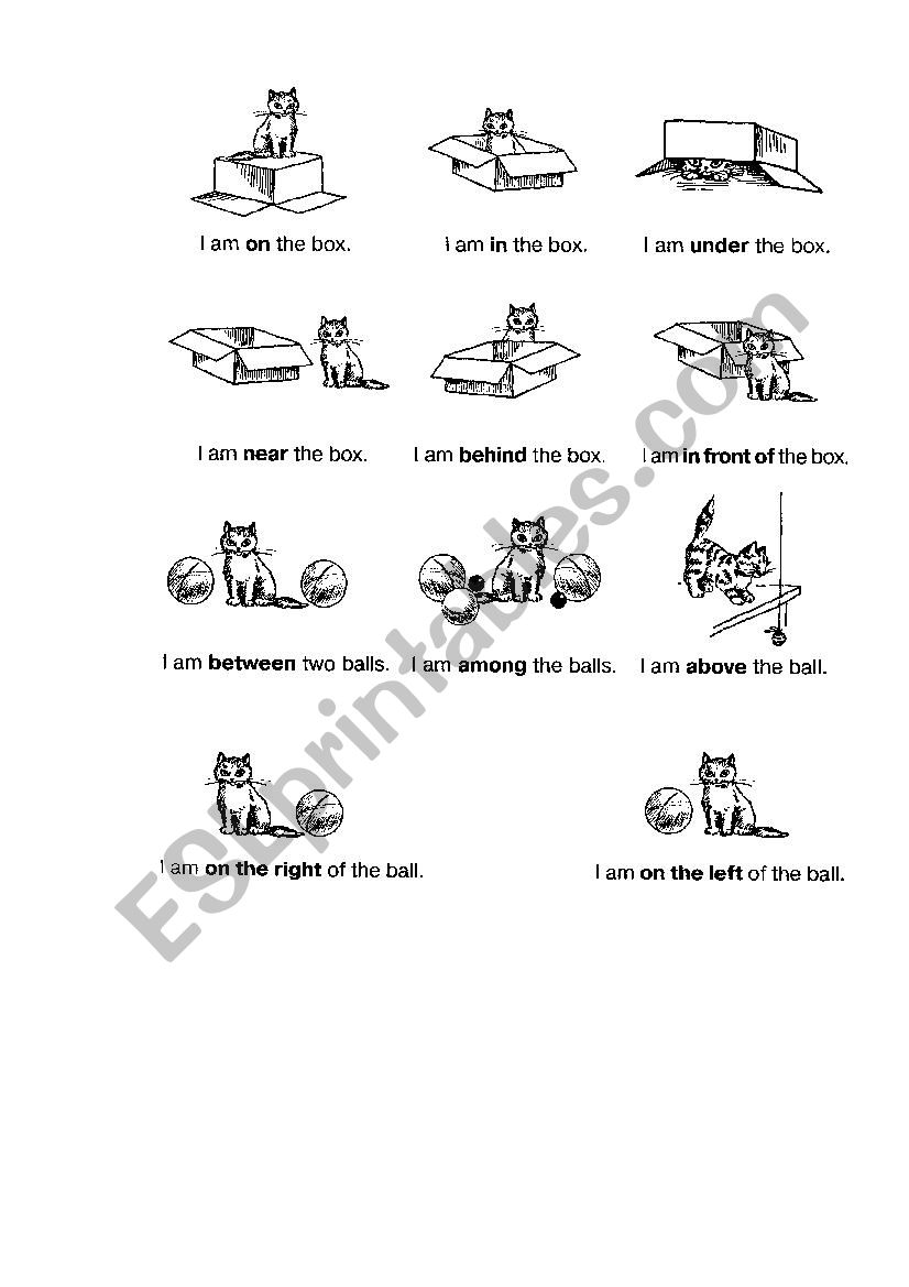 Prepositions worksheet