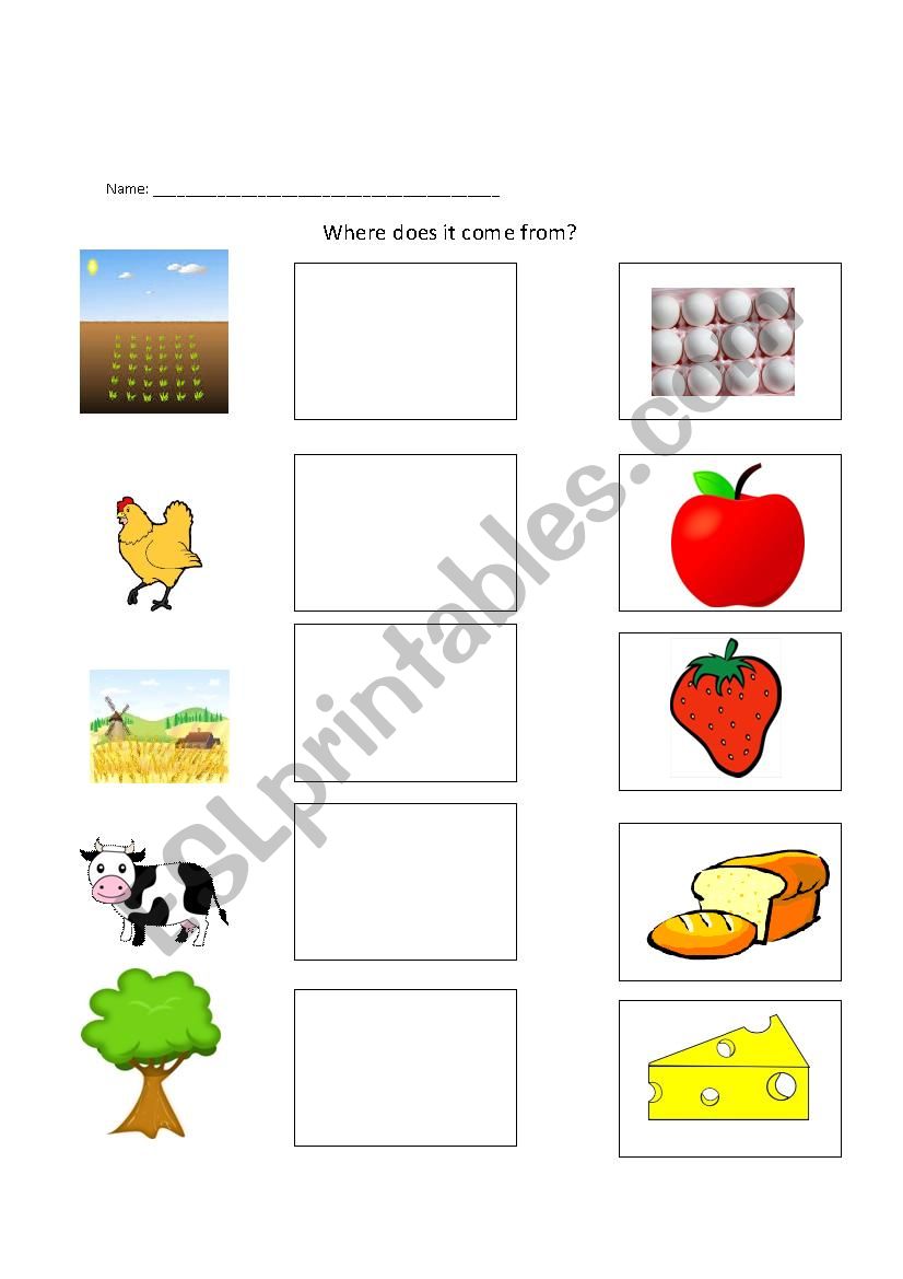 Where does it come from?  worksheet