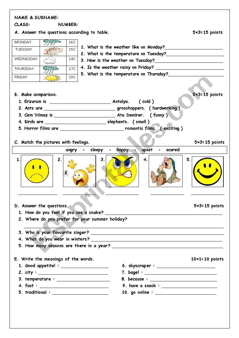 an exam for 6th grades worksheet