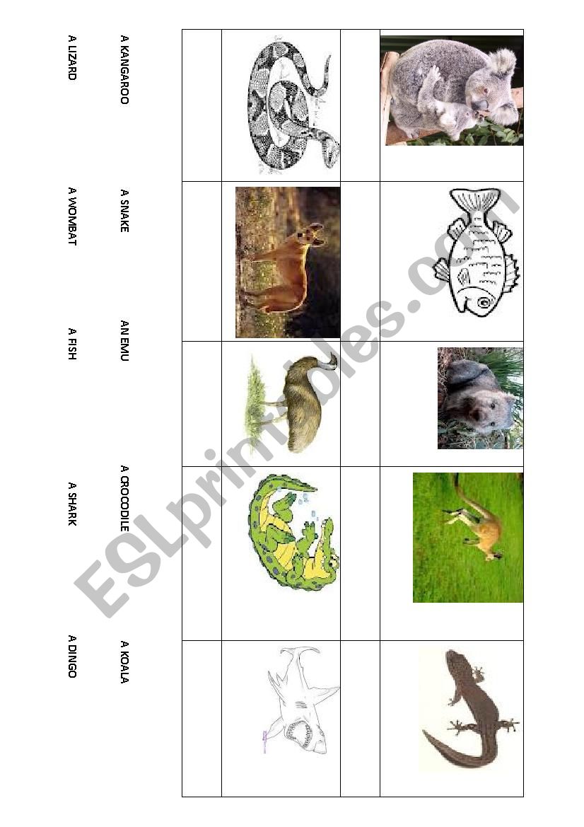 Australian animals worksheet