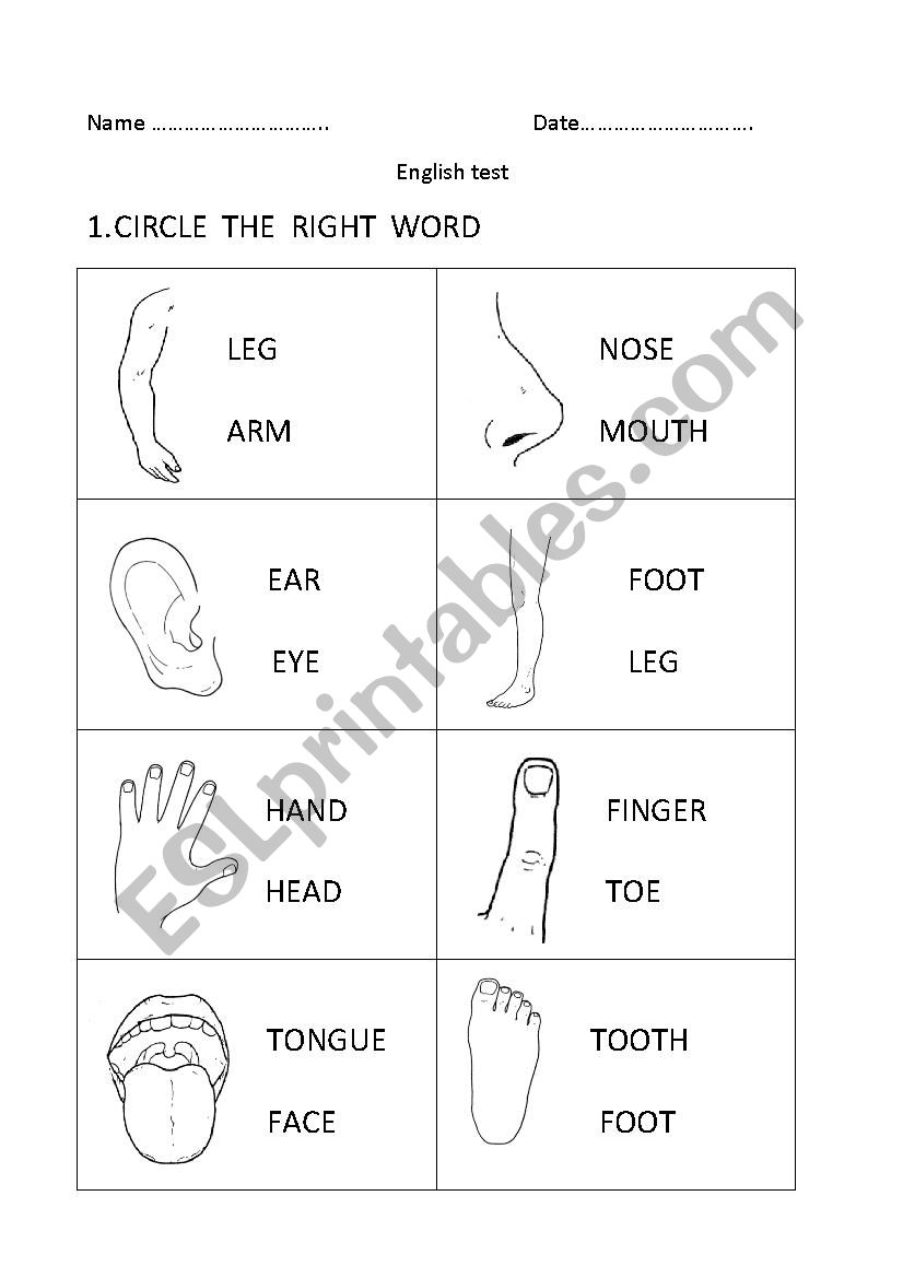 English test: parts of the body