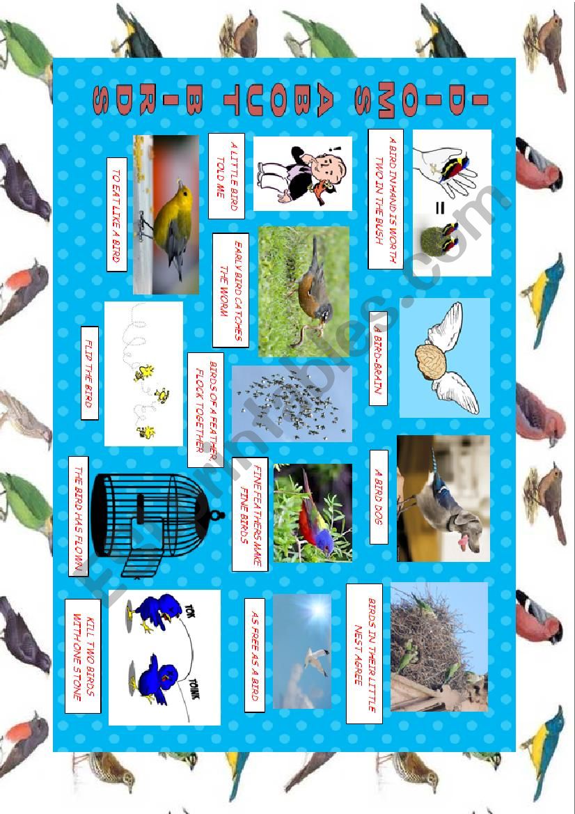 IDIOMS: BIRDS worksheet