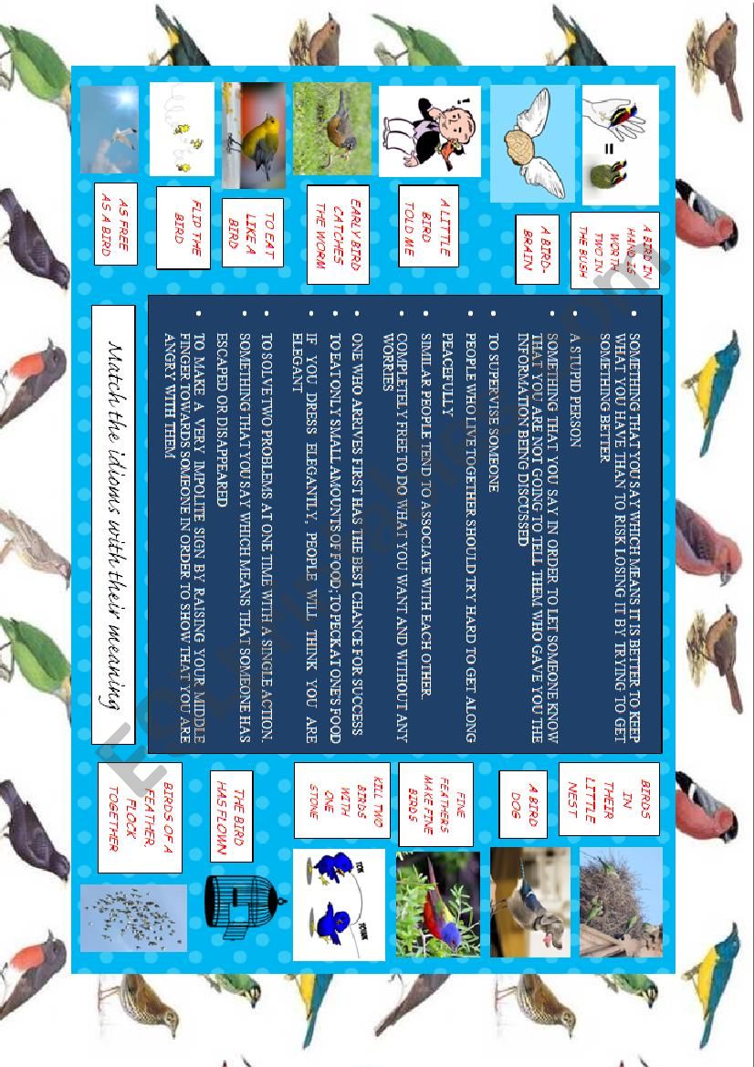 IDIOMS: BIRDS (worksheet) worksheet