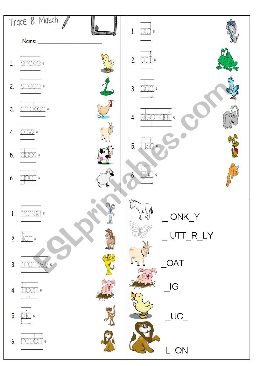 matching animals worksheet
