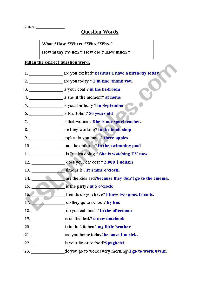 Question words worksheet