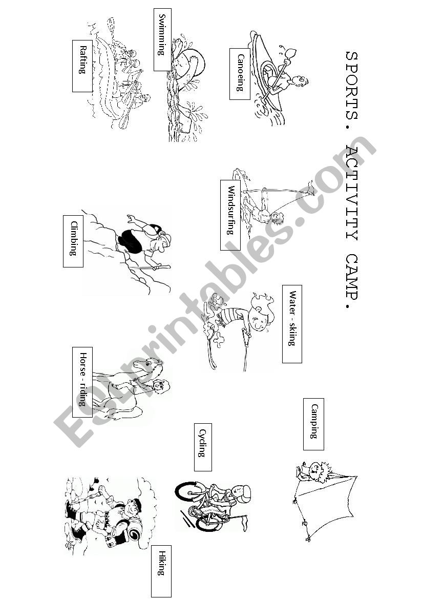 sport vocabulary worksheet