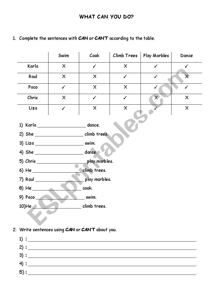 What can you do? worksheet