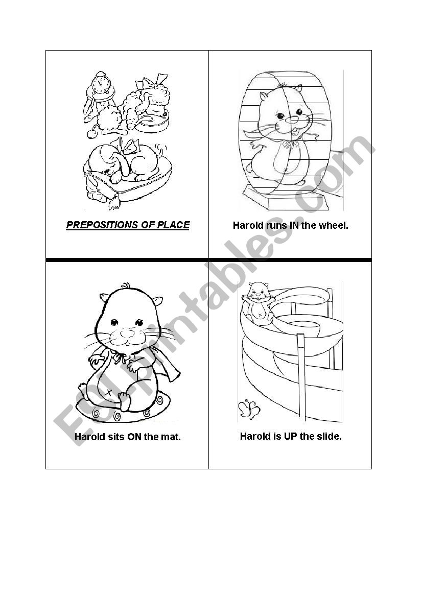 Harold introduces the prepositions of place