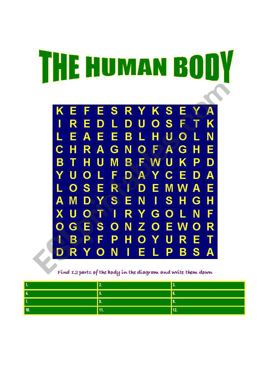 THE HUMAN BODY.  worksheet