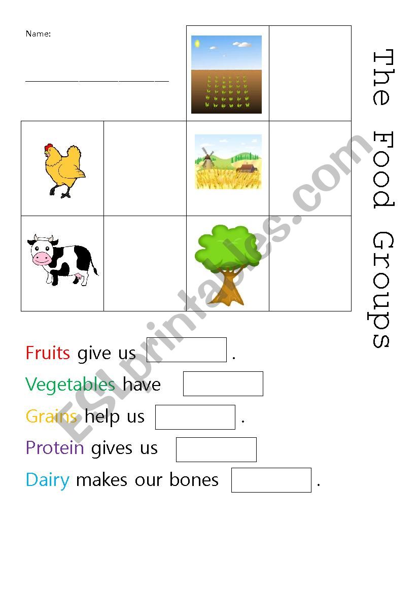 The Food Groups worksheet