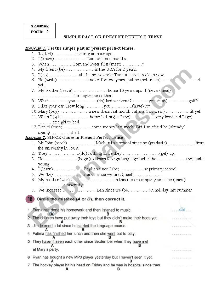 THE PRESENT PERFECT TENSE 1 worksheet