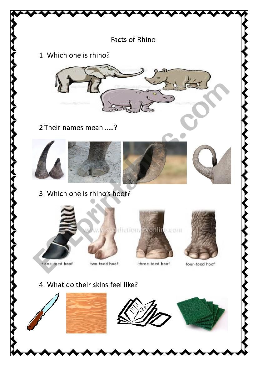 Fun facts of rhino  worksheet