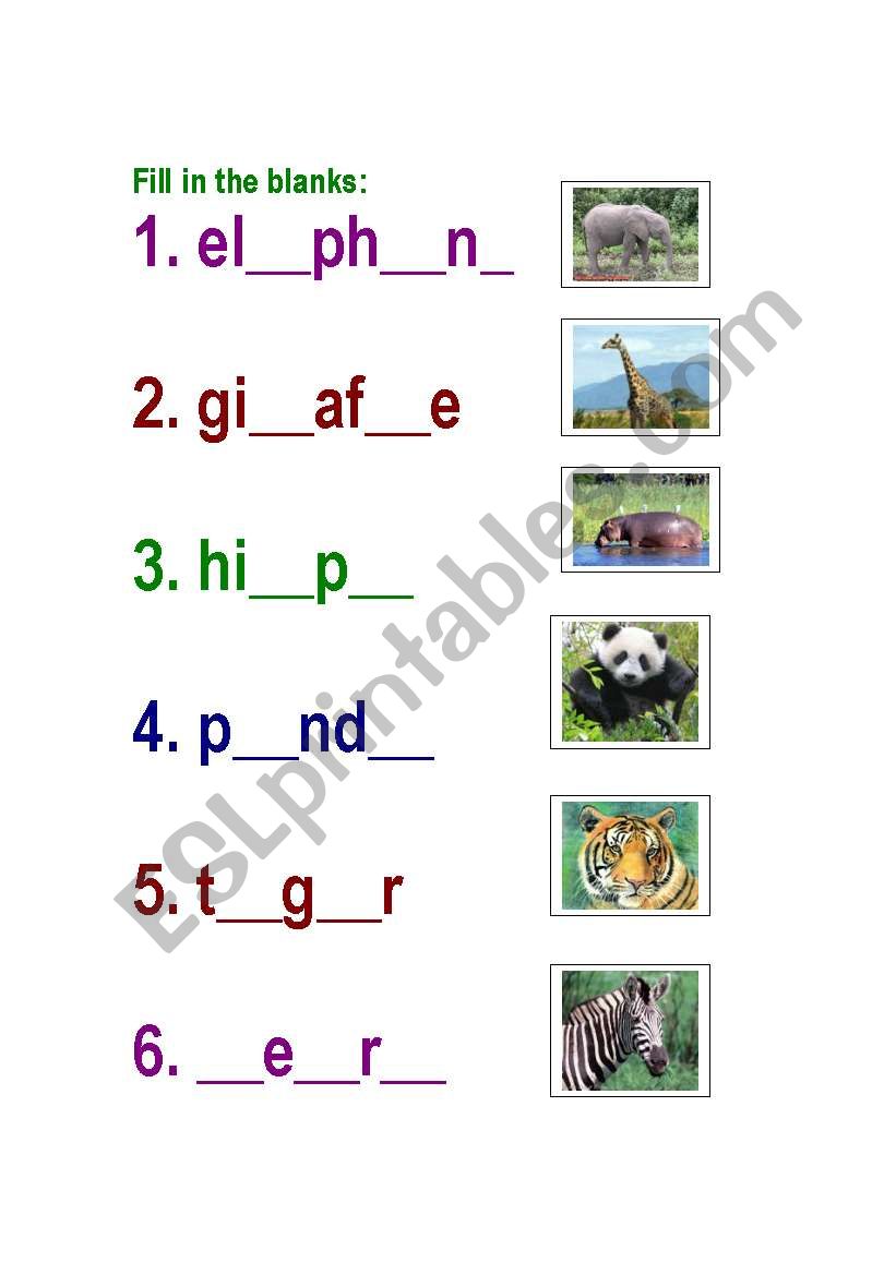 wild animals worksheet