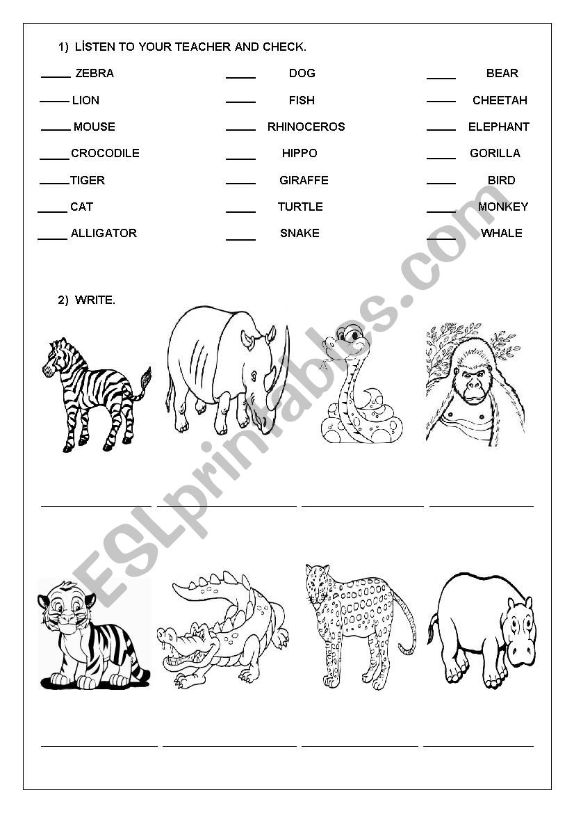 Wild animals worksheet