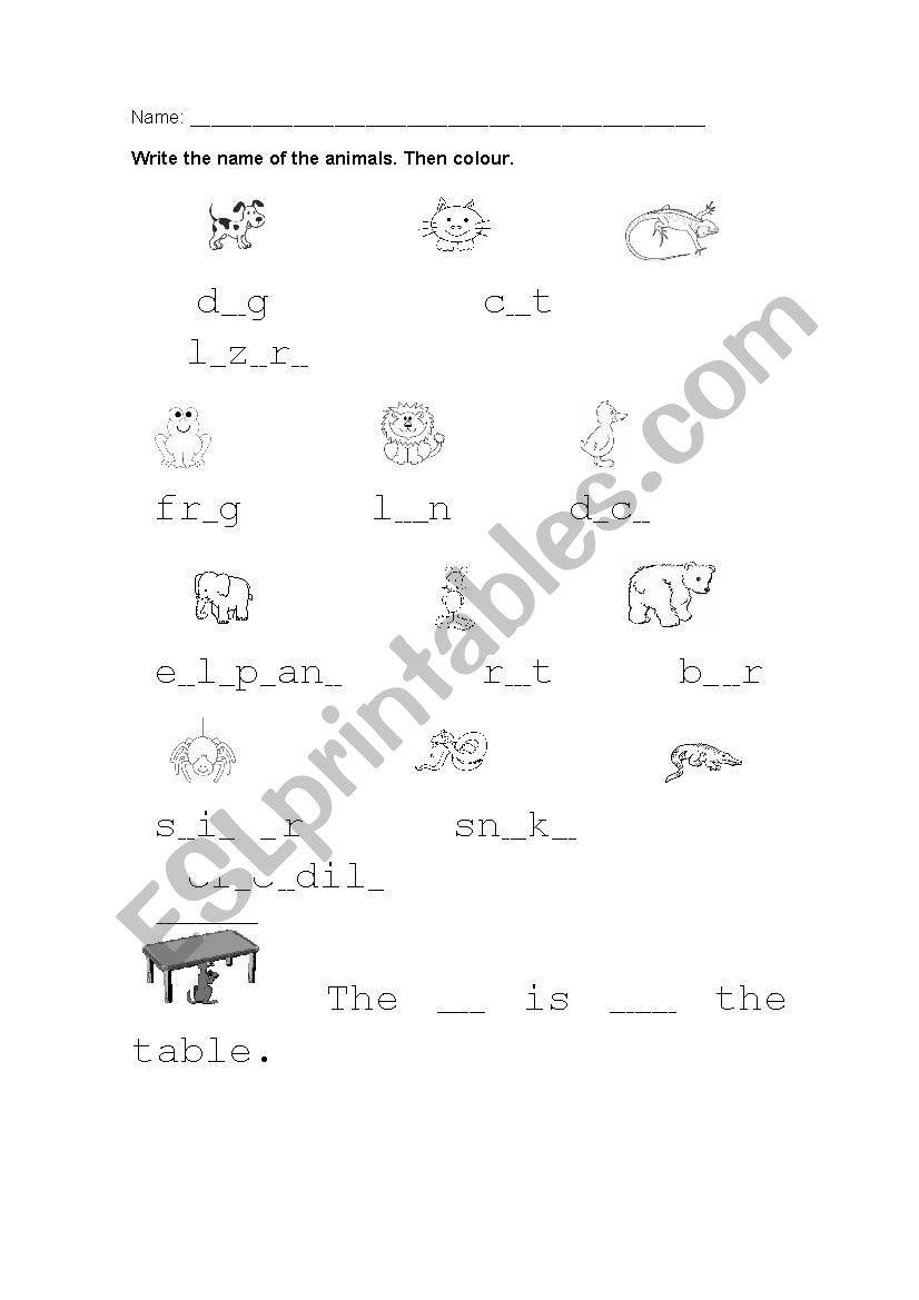 Animals worksheet