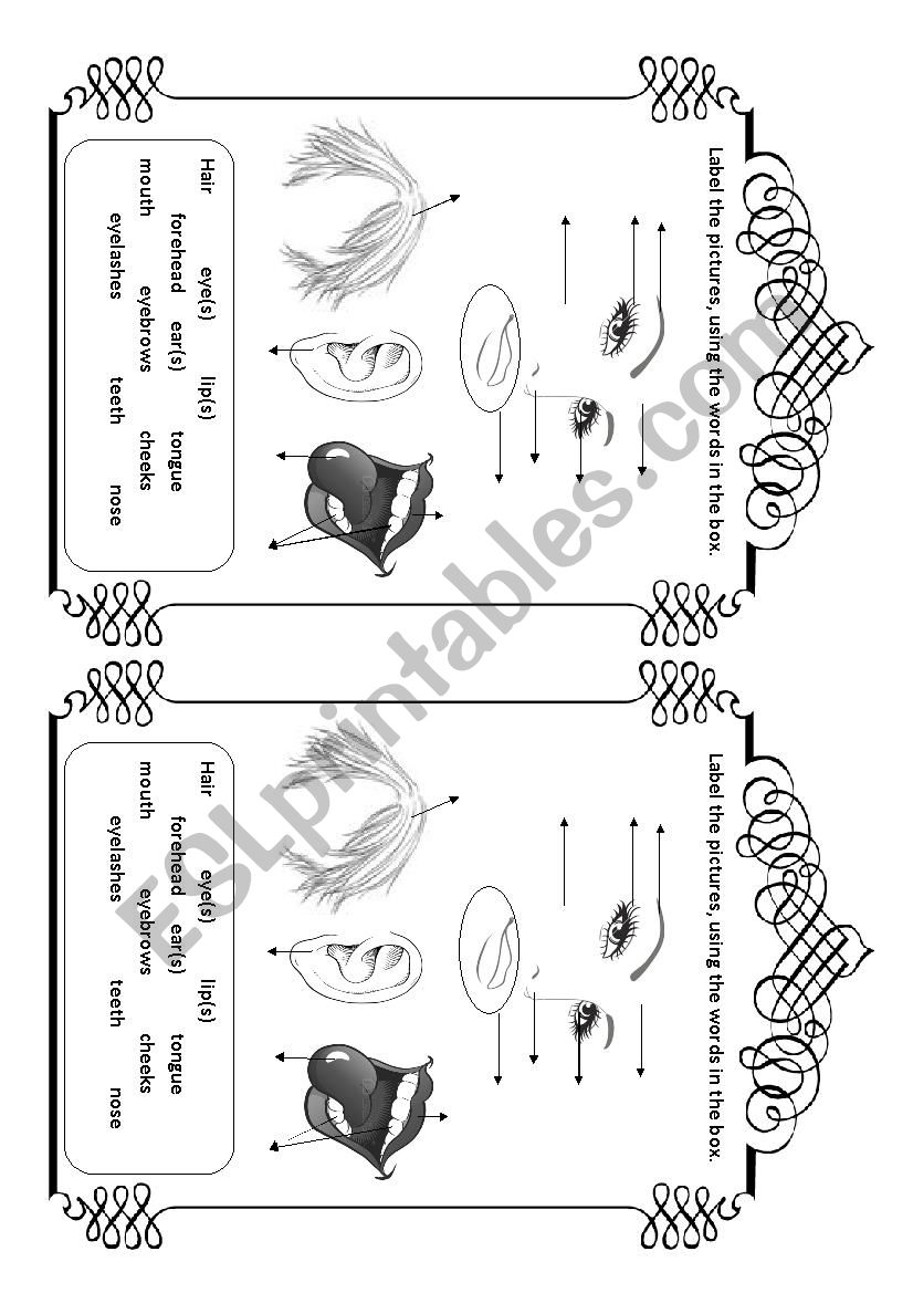 Body parts - face worksheet