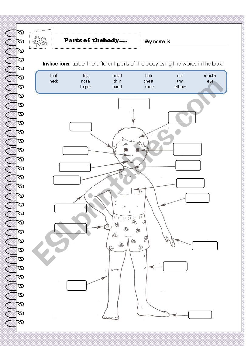 Body parts worksheet