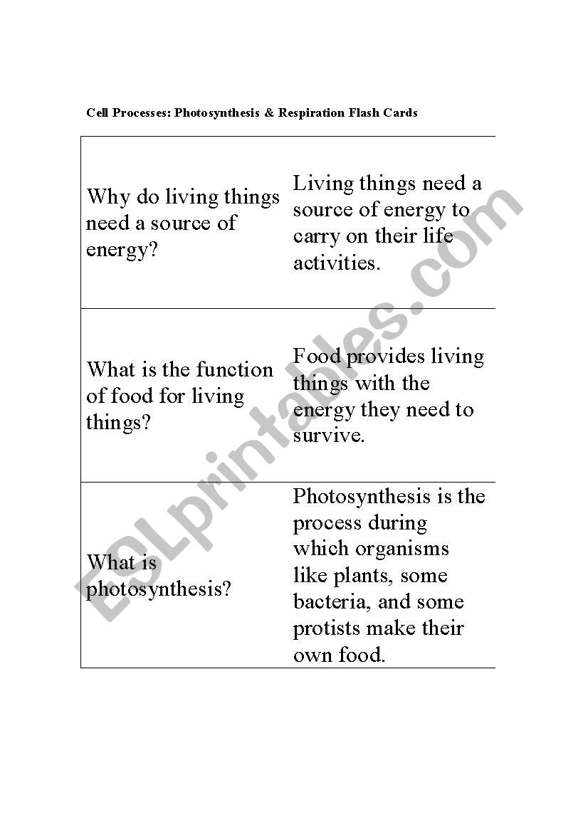 Flash Cards Photosynthesis & Respiration - ESL worksheet by tfloria Within Photosynthesis And Respiration Worksheet