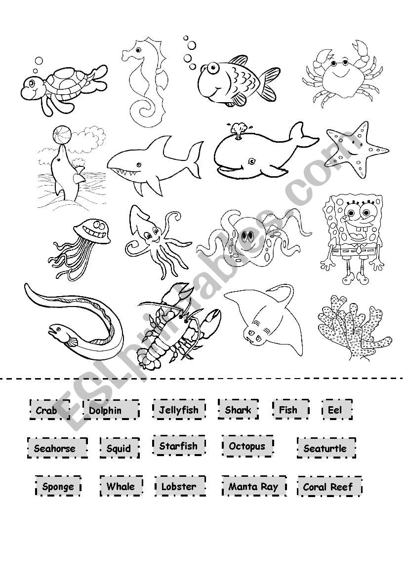 Sea Animals Cut and Paste worksheet