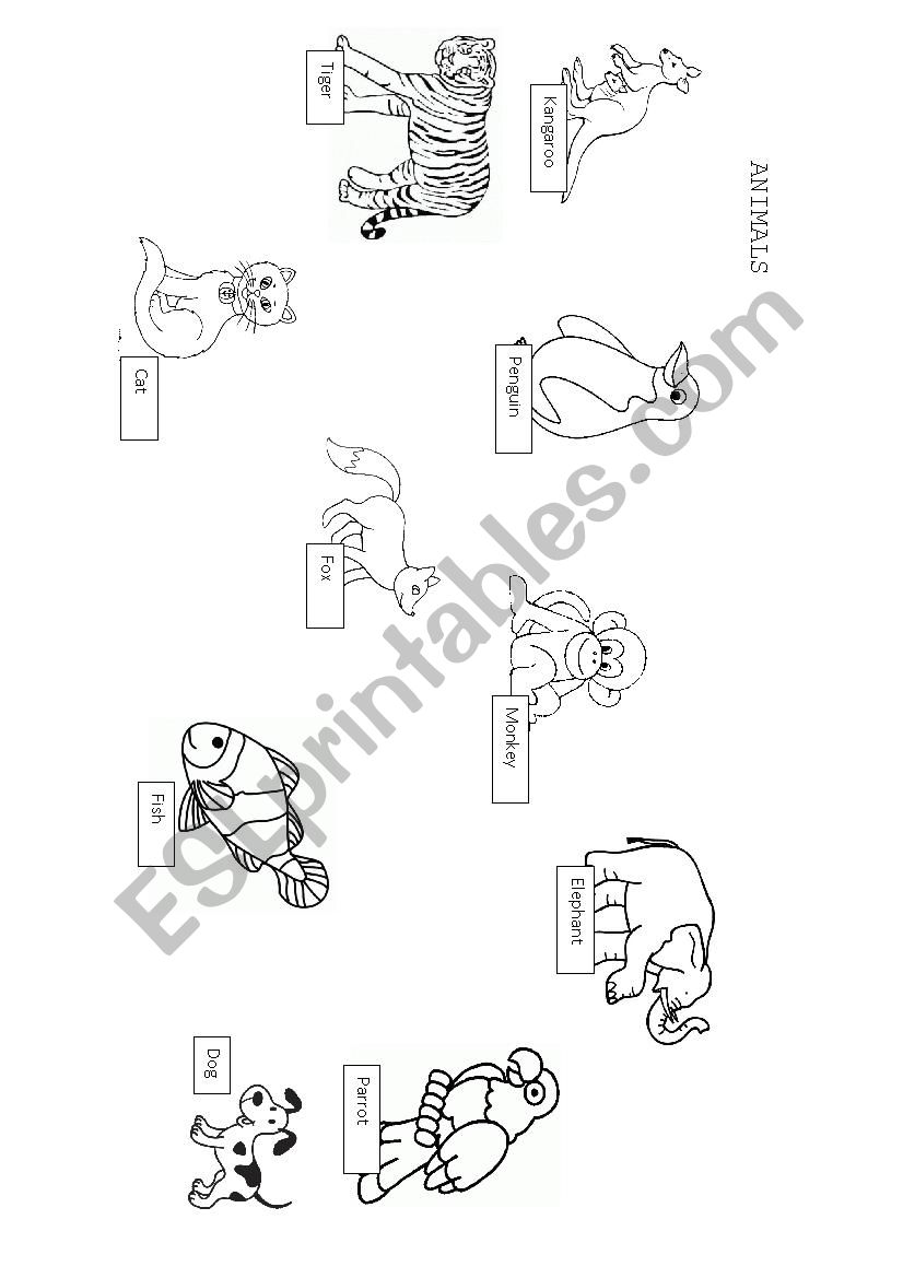 ANIMALS worksheet