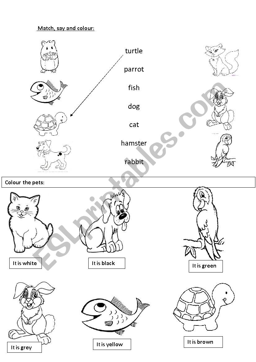 Pets worksheet