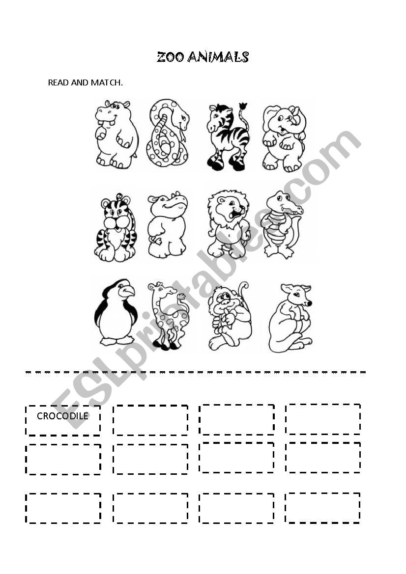 zoo animals worksheet