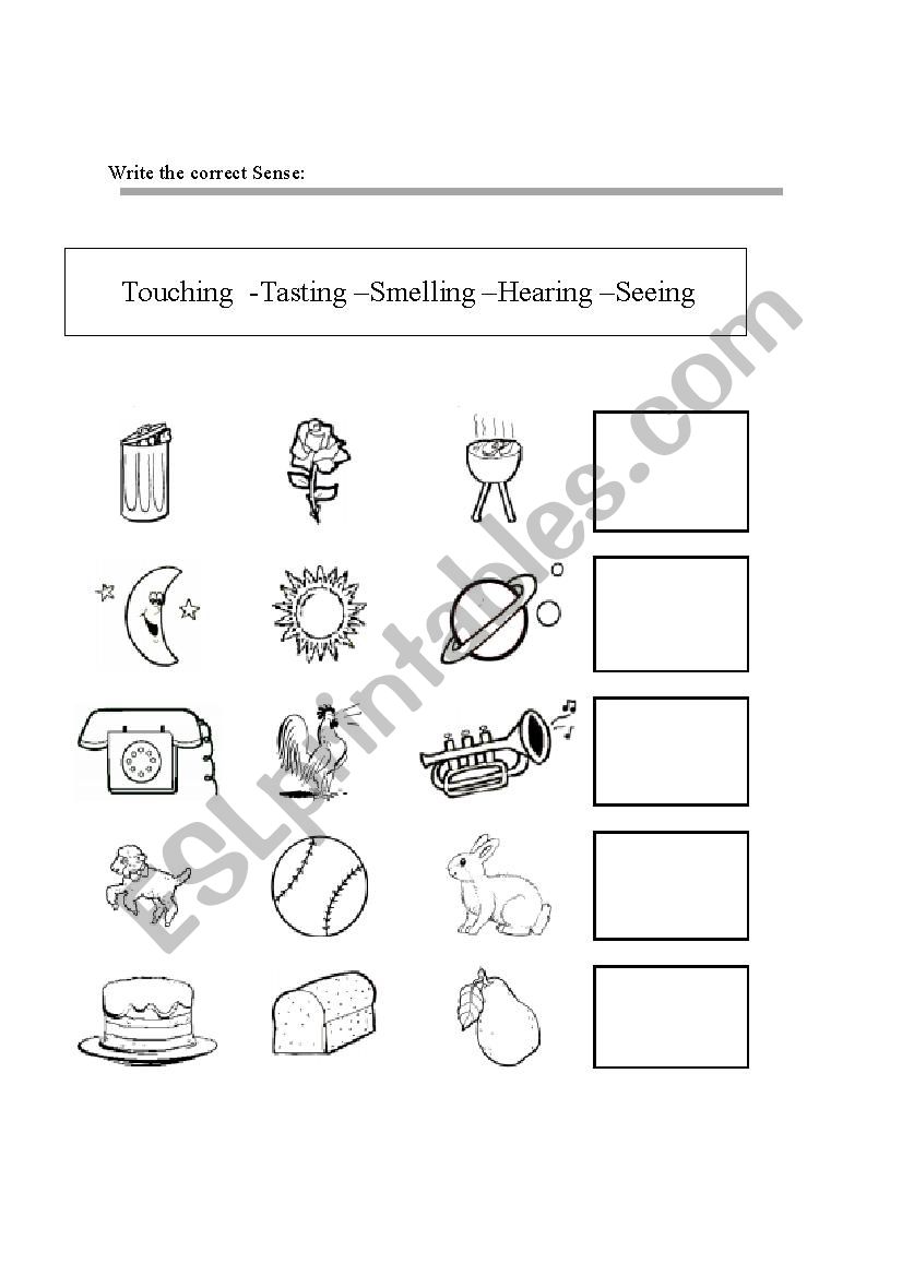 Five senses  worksheet