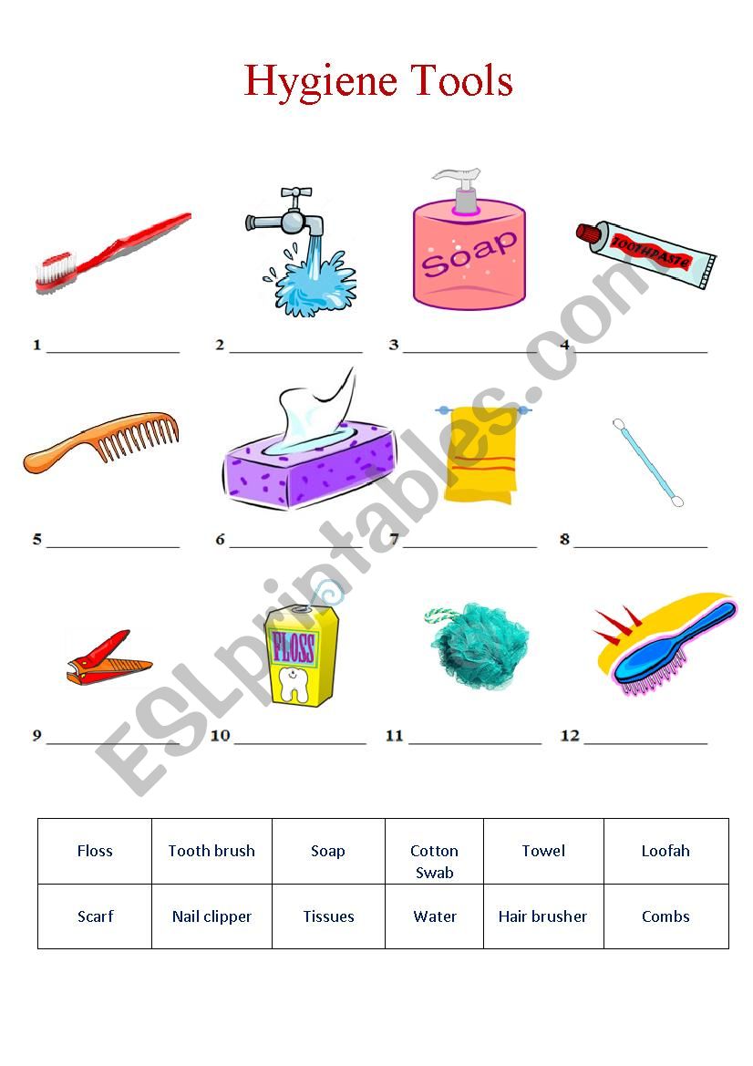 hygiene Tools worksheet