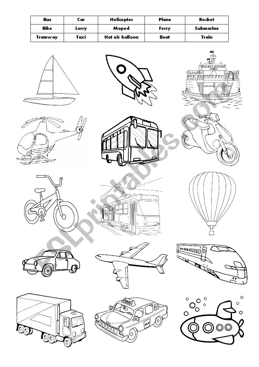 Means of transport vocabulary worksheet